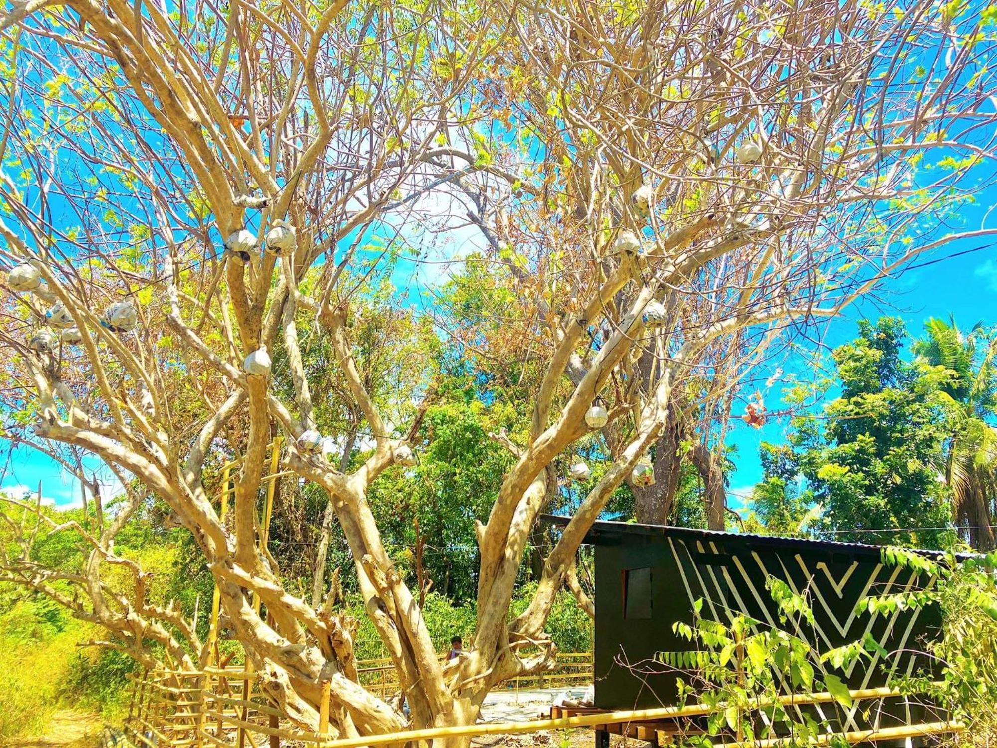 Campsarap Hostel & Resort Valencia  Exterior photo